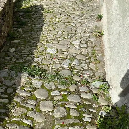 Casa Sulle Apuane *